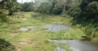 বাঁধ, বেদখল আর দূষণে বিলীনের পথে ইছামতী নদী